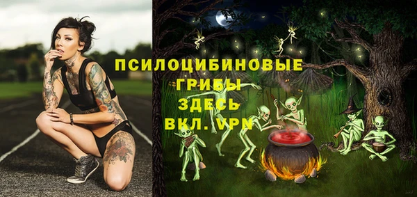 соль курить ск Бутурлиновка