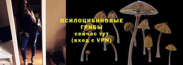винт Вязьма