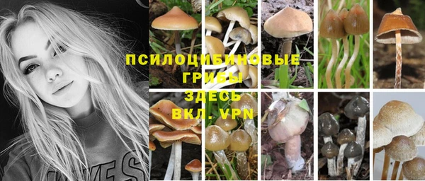 винт Вязьма