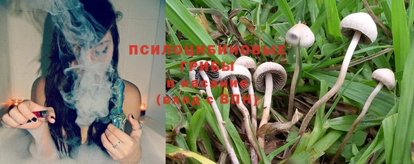 винт Вязьма