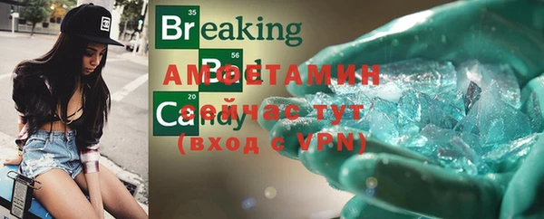 индика Шенкурск