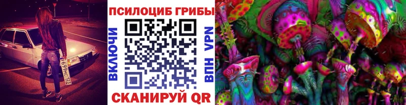 Галлюциногенные грибы Magic Shrooms  Новосокольники 